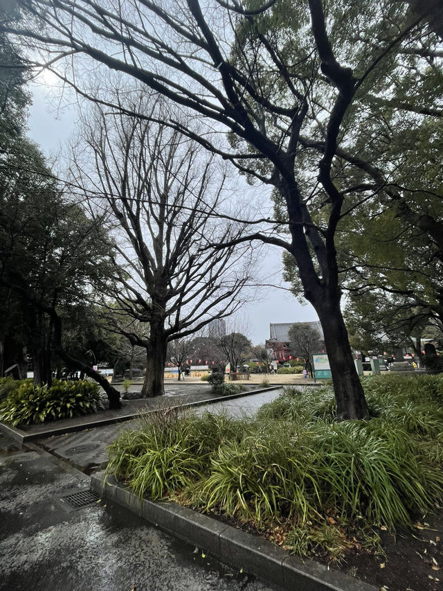 🇯🇵 Ueno Park