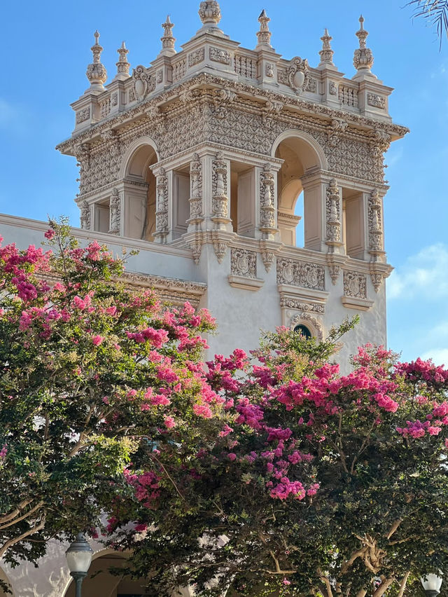 San Diego – California’s Coastal Gem 🇺🇸🌴