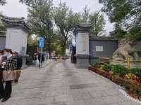 A Journey Through the Splendor of the Old Summer Palace