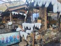 Chilly spring day in Lijiang (丽江)