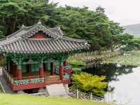 [경주] 서출지 & 통일전, 여유로운 여름 산책 🌿