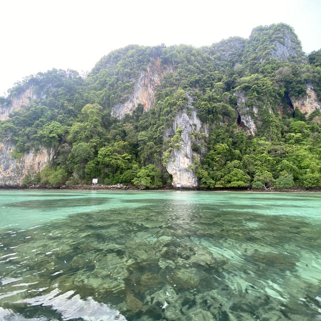 เกาะพีพี…สวรรค์กลางทะเลกระบี่ 🏝️