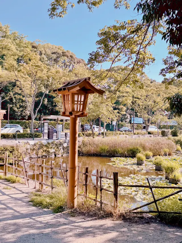 후쿠오카 성터 꼭 가 보세요❗️