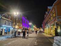 Northern Lights and Arctic Wonders in Tromsø