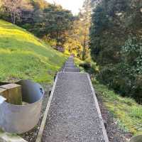 Mount Eden (Maungawhau) Crater – Auckland City