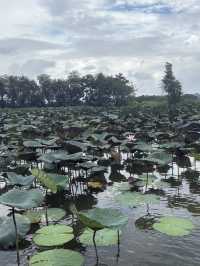 Gu Lao water town scenic spot