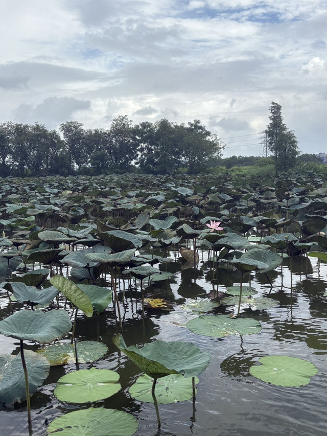 Gu Lao water town scenic spot
