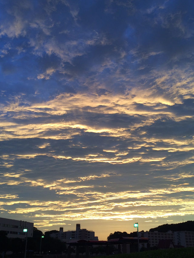 🌅Early Summer Evening in Yokosuka Mikasa 