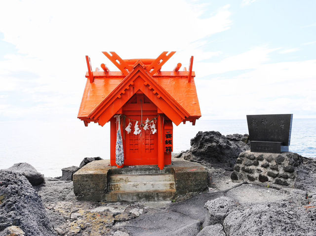 在「夢之浮島」 做了一場美麗的夢