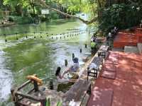 nabi cafe คาเฟ่ผีเสื้อในแก่งกระจาน