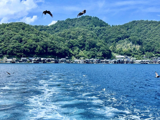 Ine Bay Kyoto 🇯🇵 สวยย So จึ้งใจมากกก 🩵
