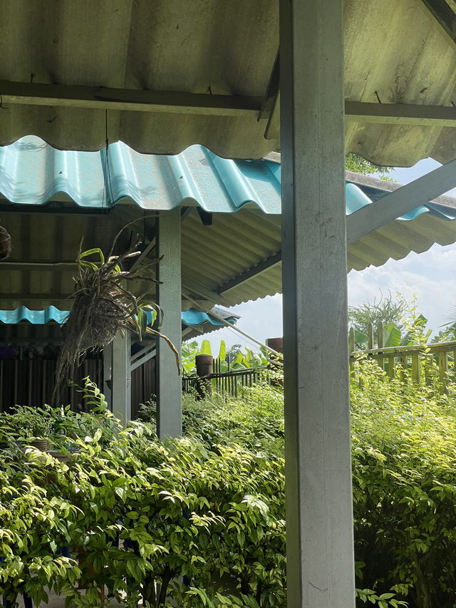 ร้านอาหารที่แนะนำตำบลกรอกสมบูรณ์