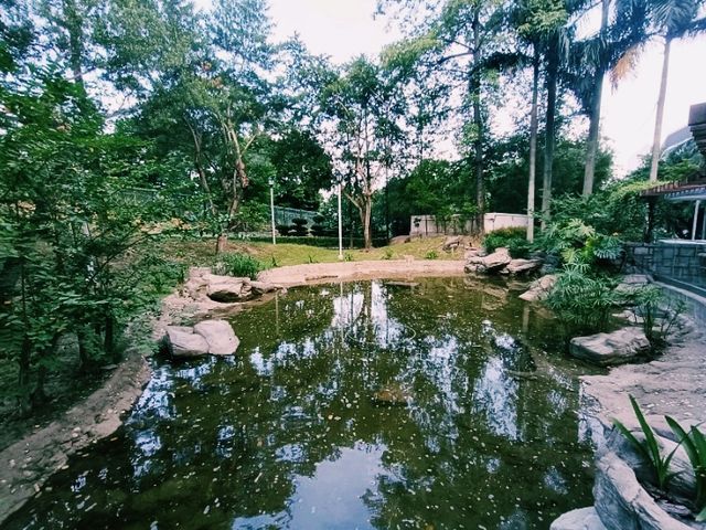 閒遊歌和老街公園 閒遊歌和老街公園