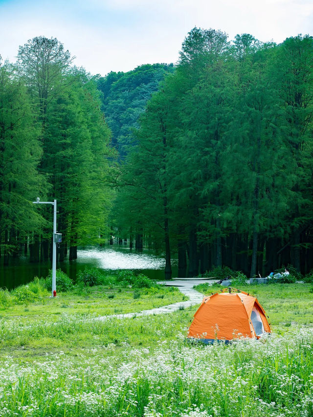 คุณไม่เคยคิดว่าจะได้เห็นมุมถนนสายรุ้ง🌈 ที่โด่งดัง คุณไม่เคยคิดว่าจะได้เห็นมุมถนนสายรุ้ง🌈 ที่โด่งดัง