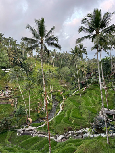 バリ島/ウブド】大自然の中の絶景プール🏊 | Trip.com バリ島