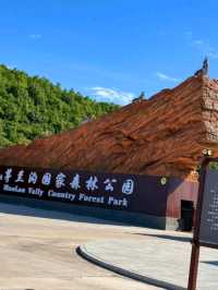 風光山水茅蘭溝