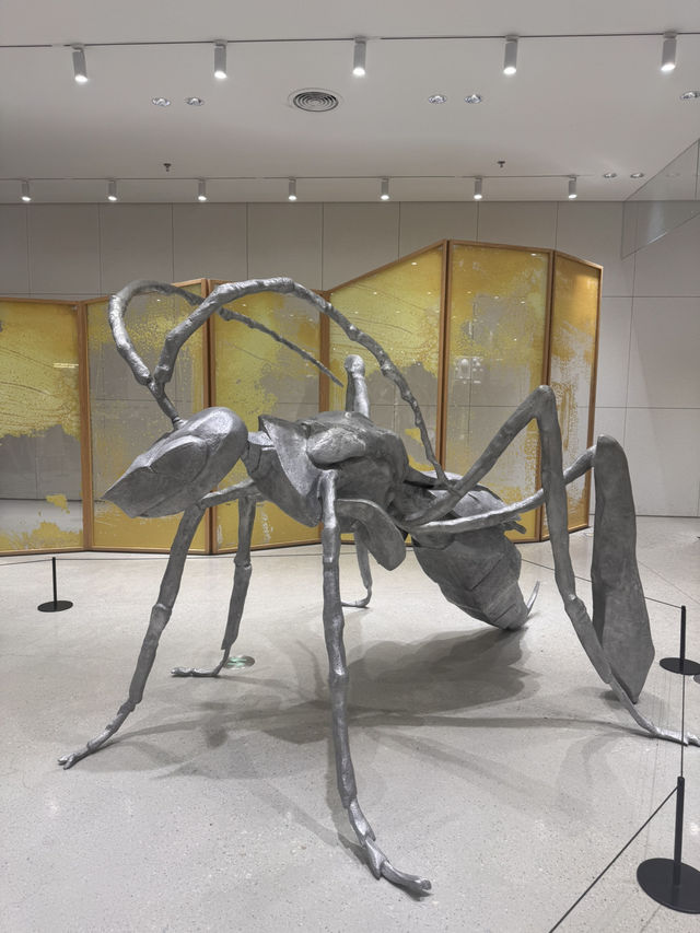 中國🇨🇳深圳巨人展，萬象天地