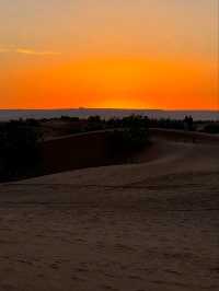 The Endless Beauty of the Sahara Desert