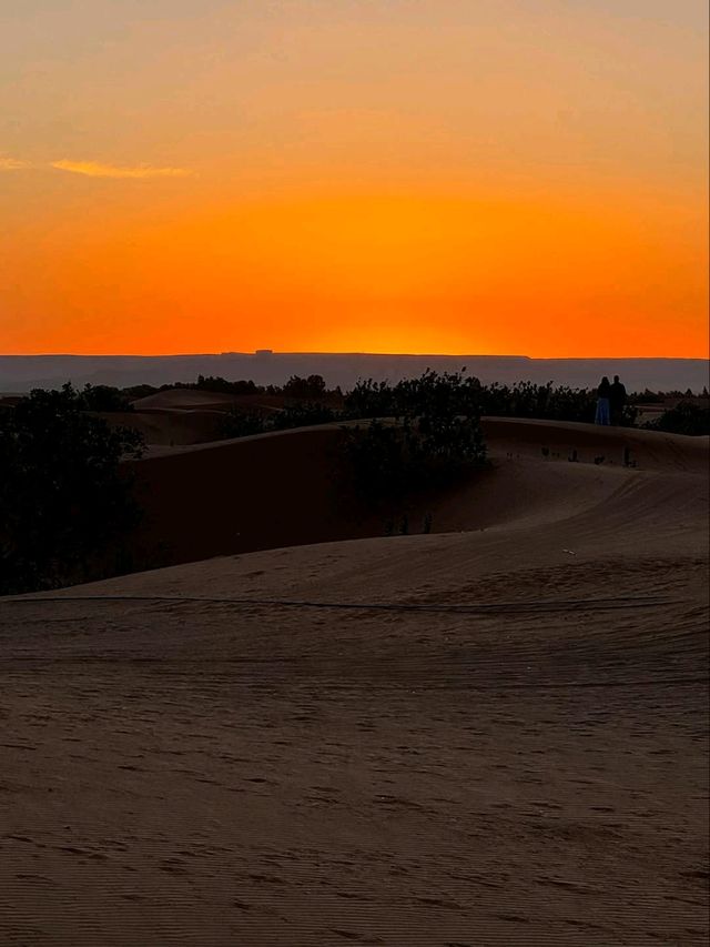 The Endless Beauty of the Sahara Desert