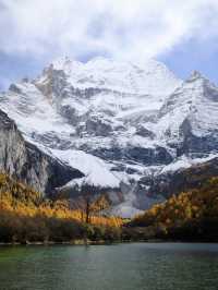 Daocheng Yading🏔️