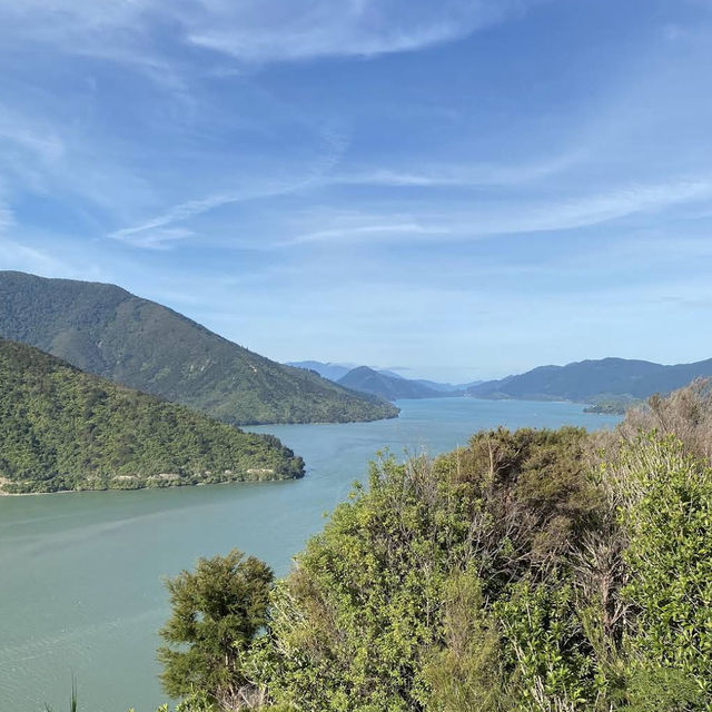 Cullen Point Lookout – Pelorus & Mahau Sound Panorama