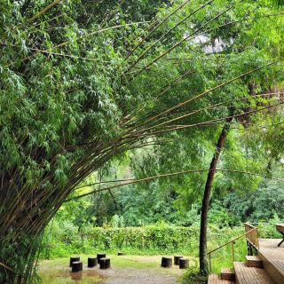 Monte Blanco County Reserve – Coastal Wilderness of Buenos Aires