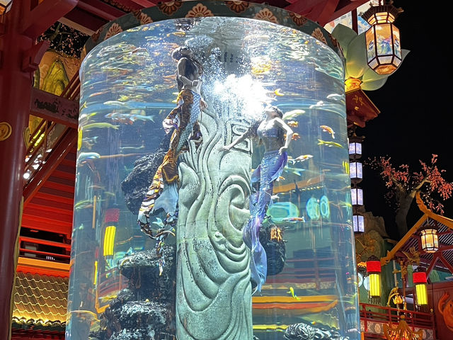 명월산해간 불야성 🏮