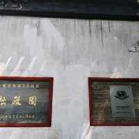 江南園林精粹✨拙政園漫遊記|蘇州古典美學大揭秘
