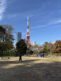 🗼✨ Tokyo Tower – แลนด์มาร์กสุดไอคอนิกของญี่ปุ่น