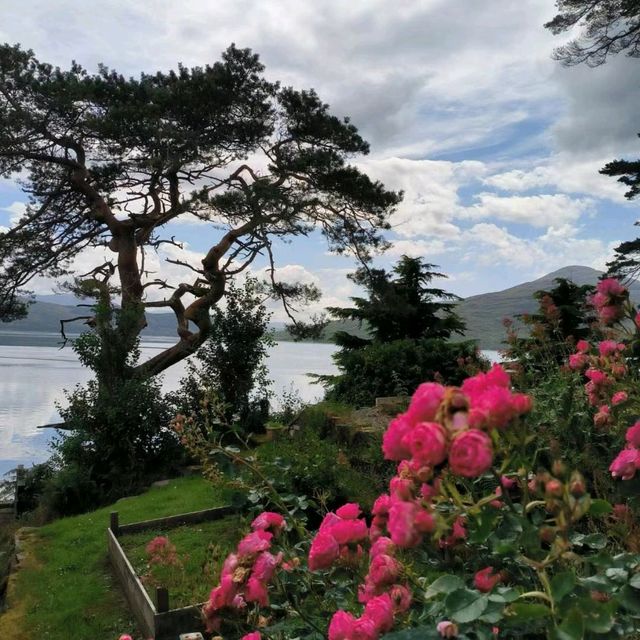 🇬🇧靜遊蘇格蘭高地！Balmacara Estate純樸自然之美🏞️