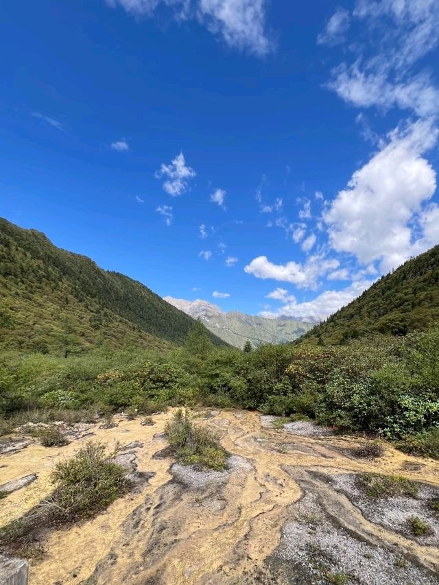 The Valley That Glows with Seasons