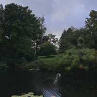 Ayrlies Garden and Wetlands