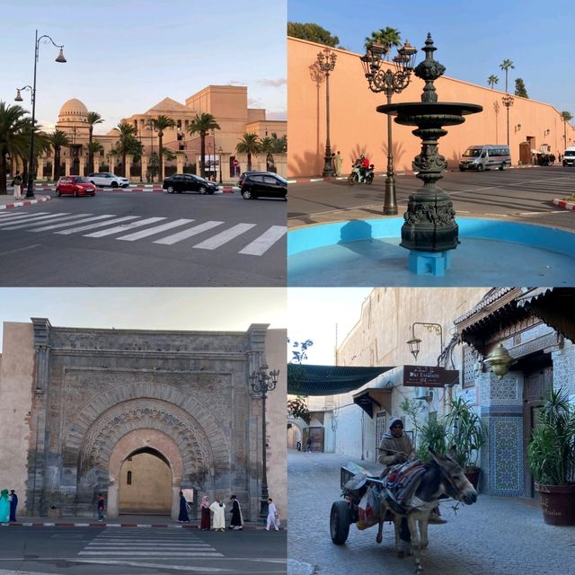 The Red City: Marrakech's Vibrant Charm! ✨