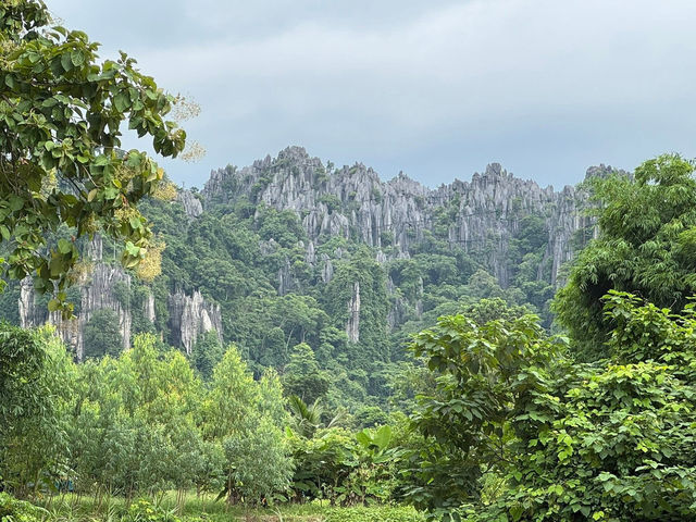 บ้านมุง หมู่บ้านเล็กๆ ในอำเภอเนินมะปราง 🌿
