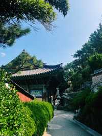 부산 해동용궁사, 가을바다와 함께한 야외데이트