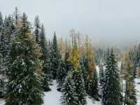 Altay's First Snow: A Magical October Transformation ❄️🏔️