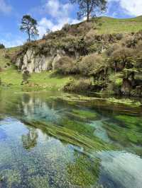 【𝐍𝐞𝐰 𝐙𝐞𝐚𝐥𝐚𝐧𝐝】北島巡り BlueSpring