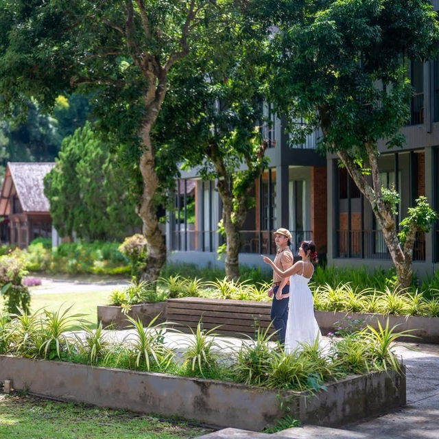 ที่พักเชียงใหม่ท่ามกลางสวนดอกไม้และขุนเขา 🌳 ที่พักเชียงใหม่ท่ามกลางสวนดอกไม้และขุนเขา 🌳