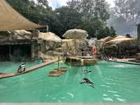 🎢韓國第一夢幻樂園！從早嗨到晚的「愛寶樂園」一日大冒險💫