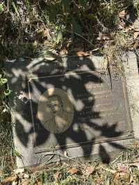 🌳 探訪「總理森林步道Prime Ministers’ Walk」：城市中的森林漫遊