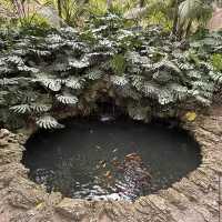 Jardín Botánico Histórico La Concepción