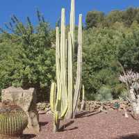 Jardín Botánico Histórico La Concepción