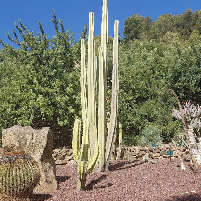 Jardín Botánico Histórico La Concepción