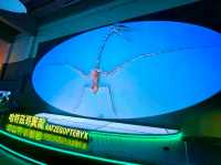 Hands-On Fun at the Hong Kong Science Museum