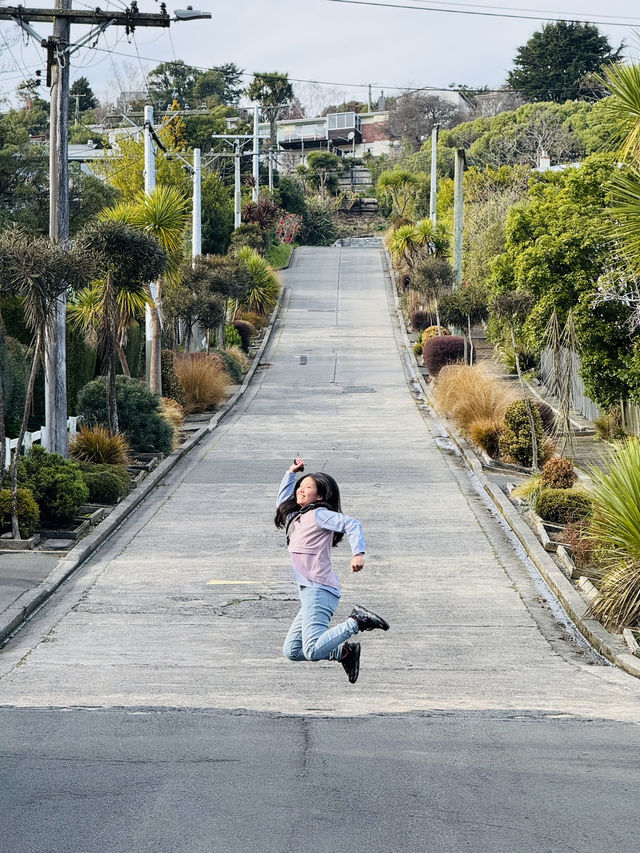 紐西蘭 南島 但尼丁Baldwin Street