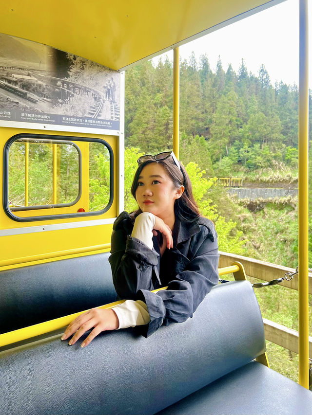 Hop On for Nostalgia: Bong Bong Train Ride in Taipingshan 🚂🌲   Hop On for Nostalgia: Bong Bong Train Ride in Taipingshan 🚂🌲