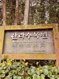 The Tranquil Walk to the Peak