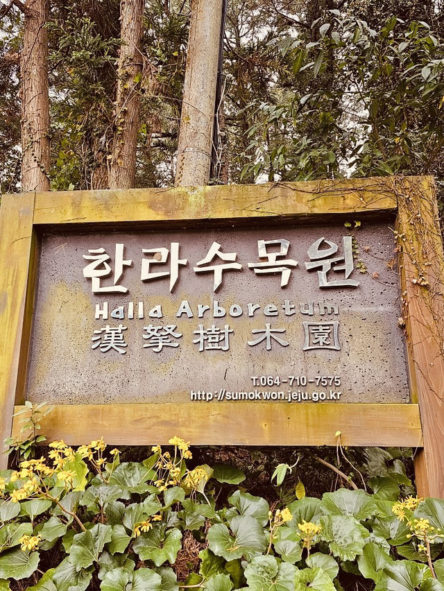 The Tranquil Walk to the Peak