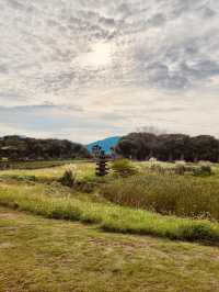 An Educational Journey Through Jeju's Folklore
