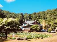 A Snapshot of Traditional Architecture and History